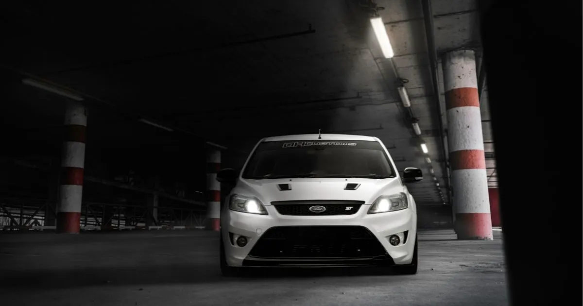 A Detailed Analysis of Sharewithoscar's Services