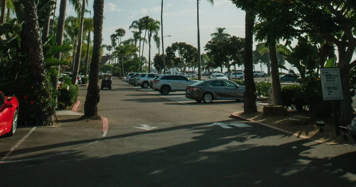 A Detailed Summary of Vip Car Storage Services