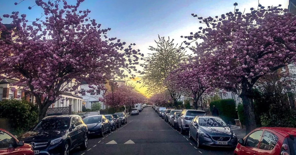 Cairns Airport and Parking Tips and Tricks for a Smooth Experience