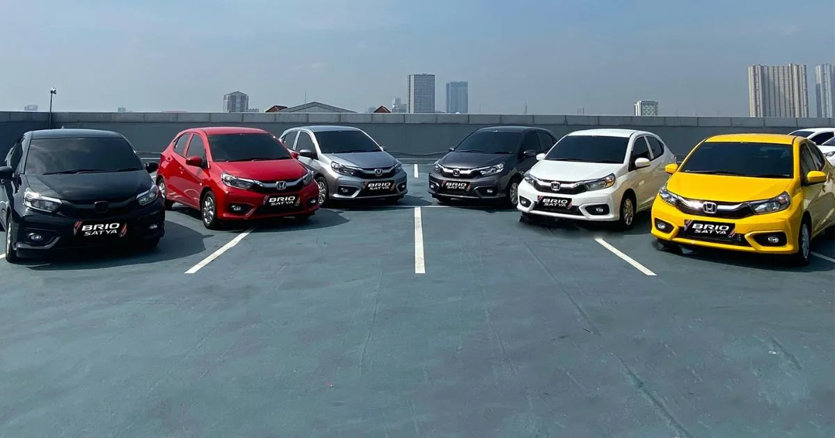 Enacon Review: A Comprehensive Look at Their Services