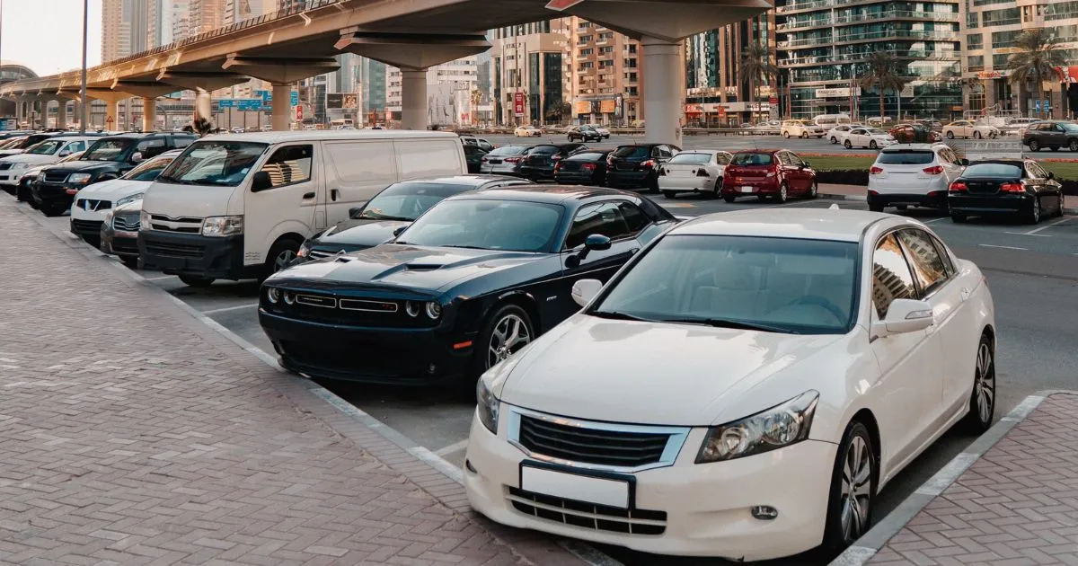 Pros and Cons of Tonsley A Review of Their Services