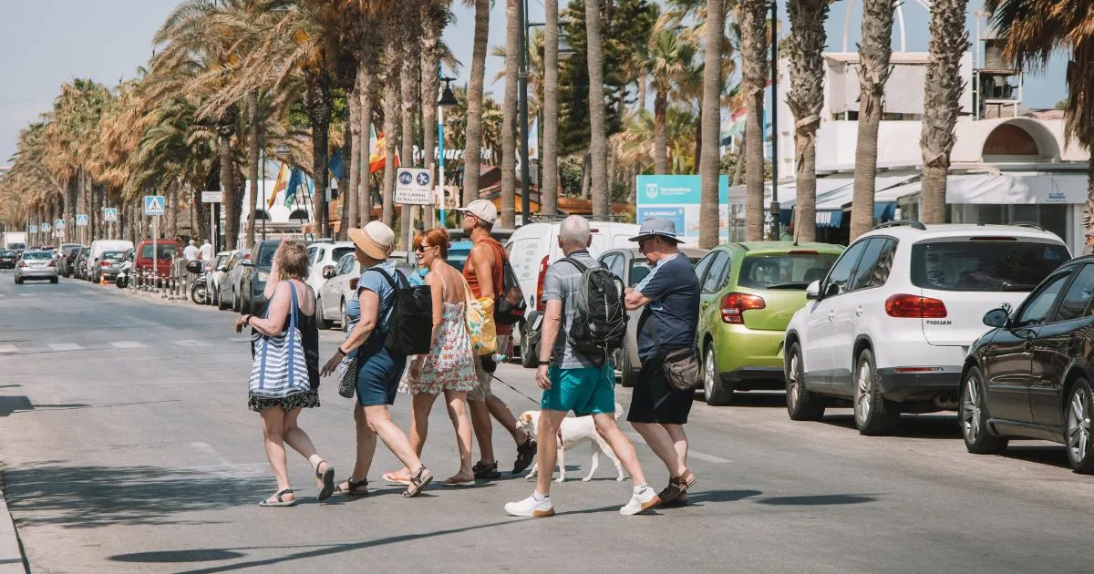 Tonsley Services Review What You Need to Know