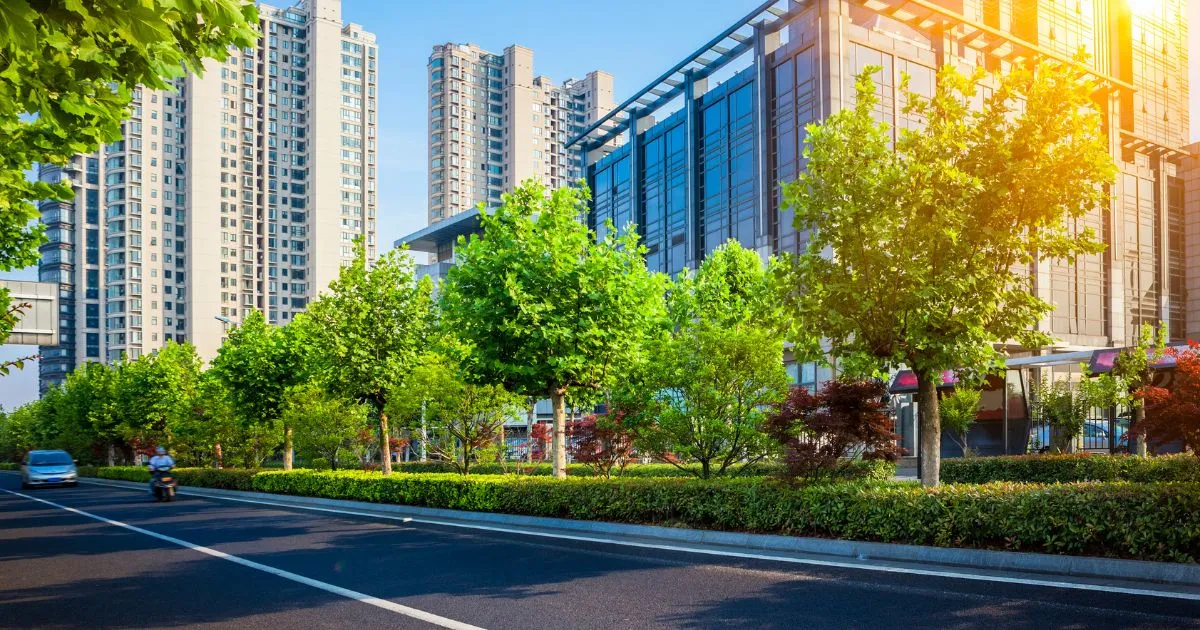 A Clean And Green City With Less Vehicles On The Road