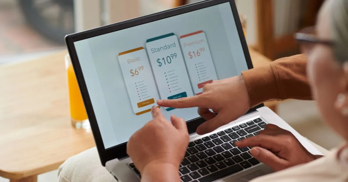 A Subscription Model Of A Company Viewed By The Customers A Subscription Model Of A Company Viewed By The Customers