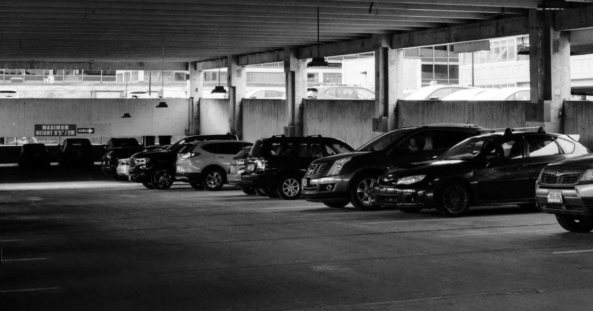 Care Park Review: Pro, Cons, Summary of Services