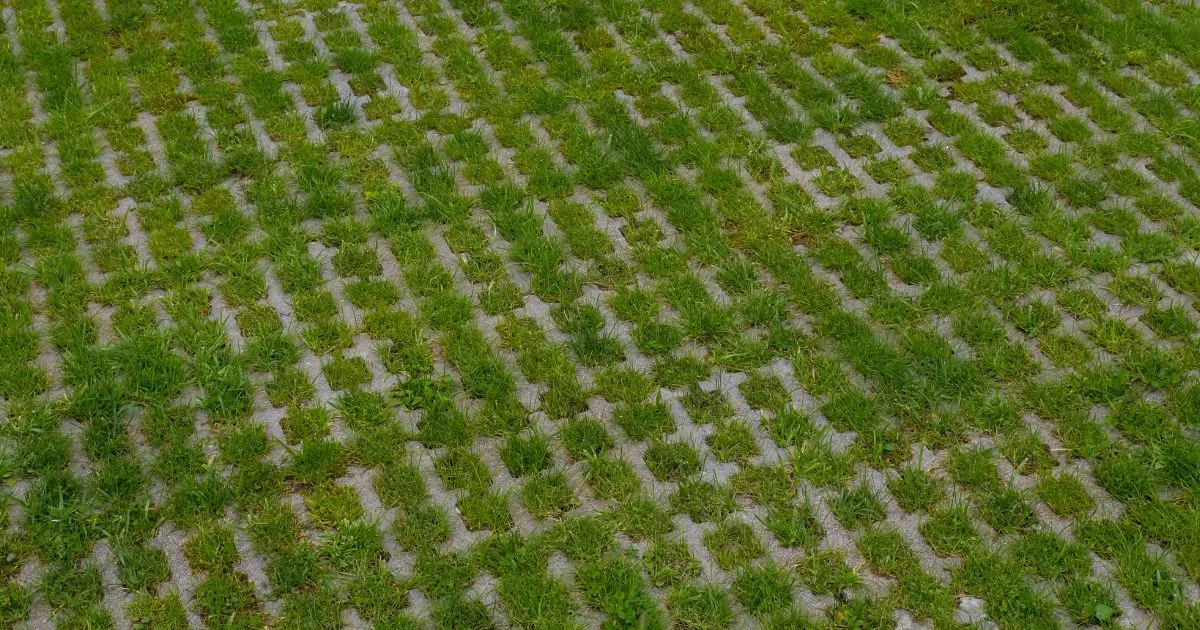 Greening Parking Lots The Benefits of Permeable Pavement For The Environment