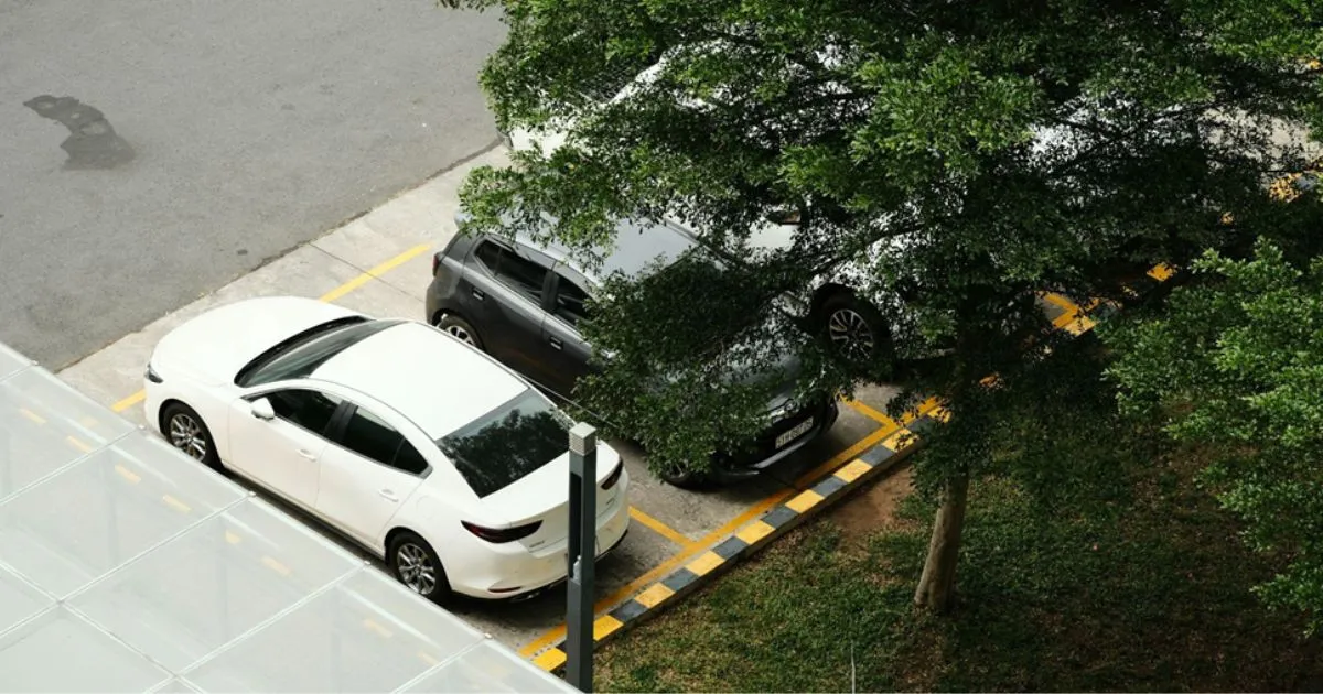 Multiple Cars Parked On The Street In The Designated Parking Area Multiple Cars Parked On The Street In The Designated Parking Area