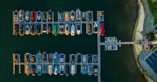 Multiple Yachts Docked In The Water