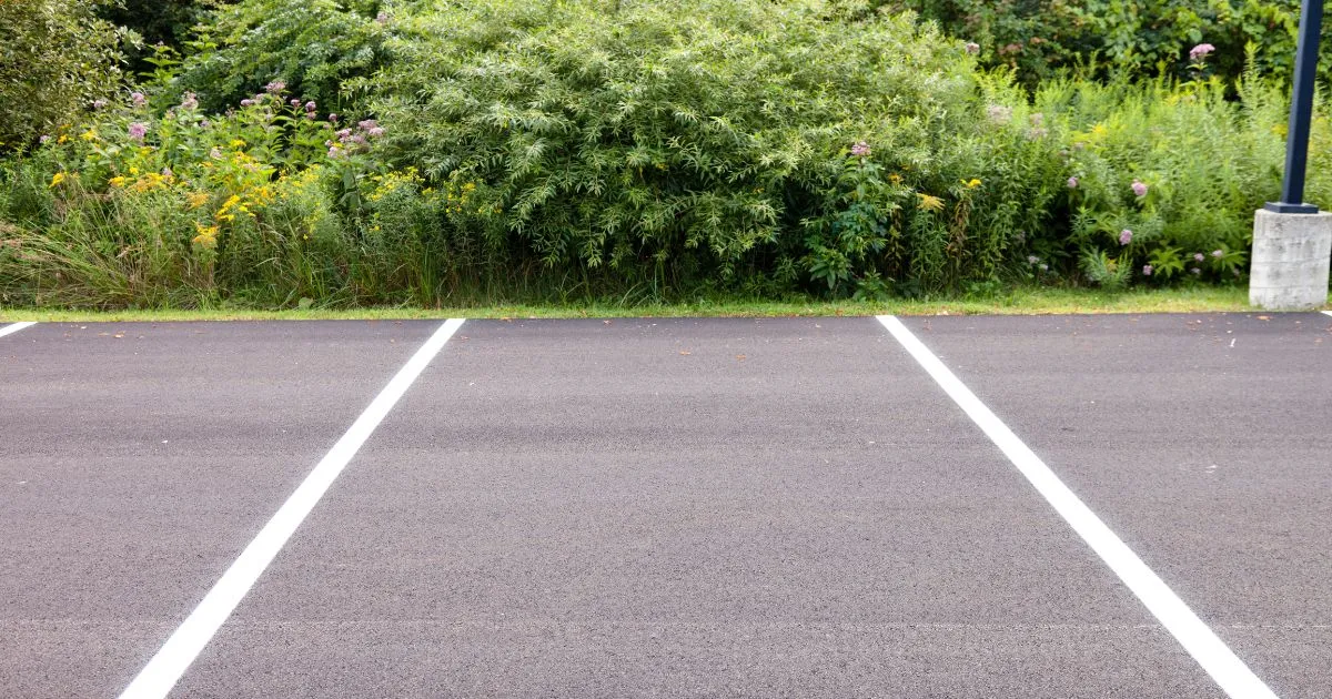 Nature-Friendly Parking Open Spaces With A Green Backdrop