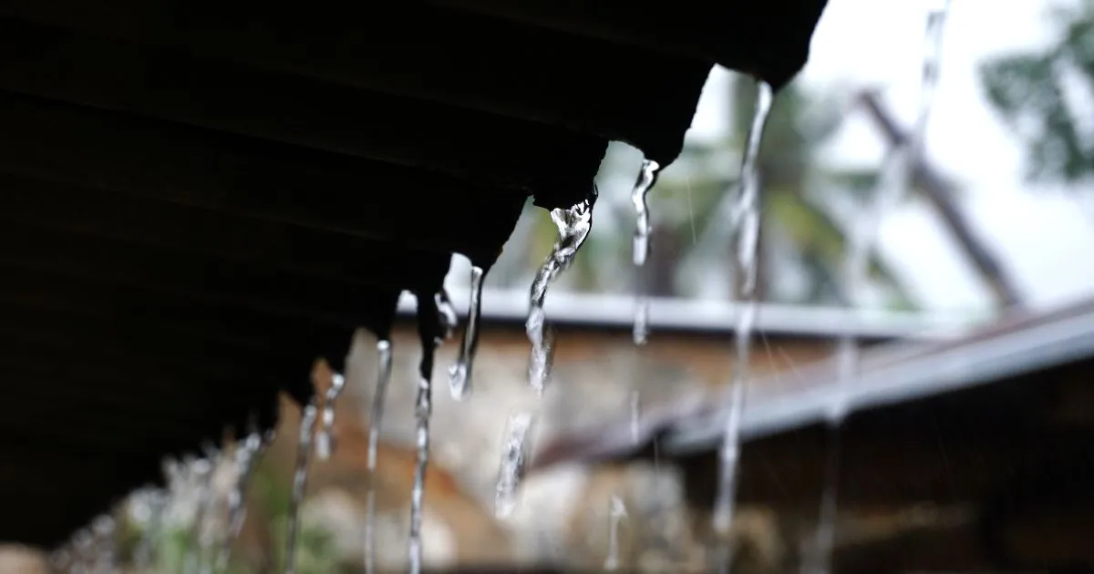 Rainwater Dropping From A Roof