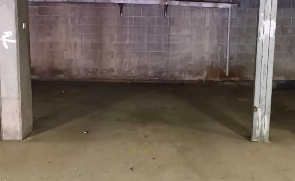 Parking For Rent - Great Parking Space In Waterloo Near Sydney Cbd