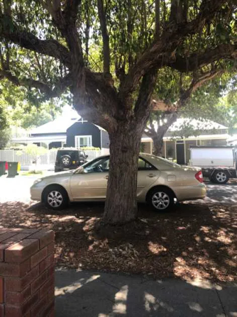 Parking For Rent - Great Shaded Car Parking Space On Verge Under Tree Cover Parking For Rent - Great Shaded Car Parking Space On Verge Under Tree Cover