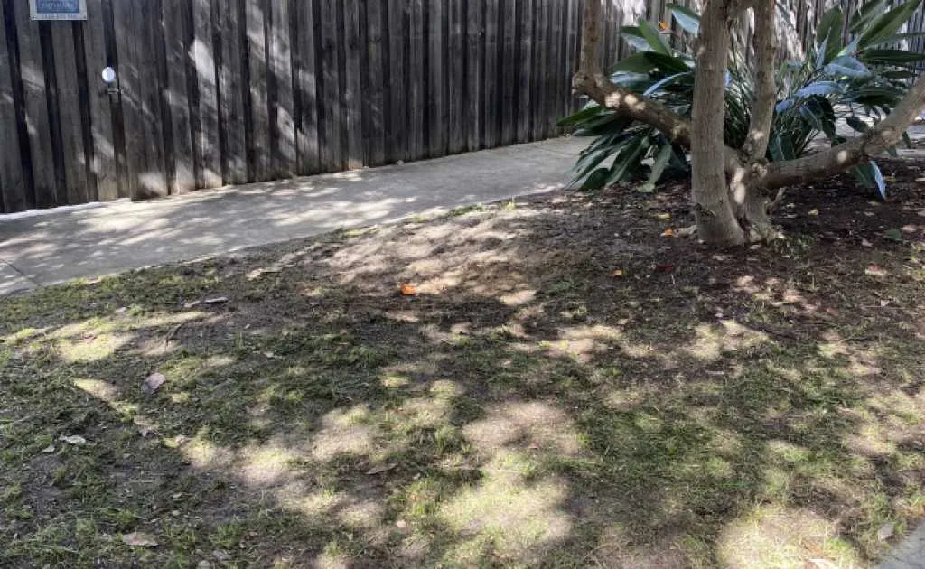 Parking For Rent - Verge Parking Less Than 1km From Hospitals - Scgh, Pch, Hollywood Parking For Rent - Verge Parking Less Than 1km From Hospitals - Scgh, Pch, Hollywood