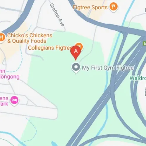 147 The Avenue, Figtree NSW 2525, Australia 147 The Avenue, Figtree NSW 2525, Australia