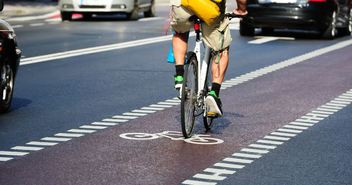 The Rise of Bike Lanes How Urban Roads Are Adapting To Cyclists And Cars
