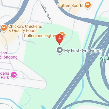 147 The Avenue, Figtree NSW 2525, Australia