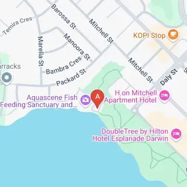 31 Doctors Gully Rd, Larrakeyah NT 0820, Australia