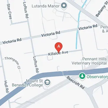 Killaloe Avenue, Pennant Hills