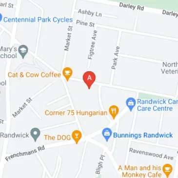 Secure double lock up garage for parking storage in Randwick