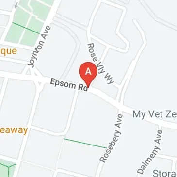 Secured Zetland Car Space Available Now Near Epsom Road