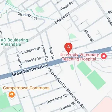 Affordable secure parking close to Camperdown CBD and RPA