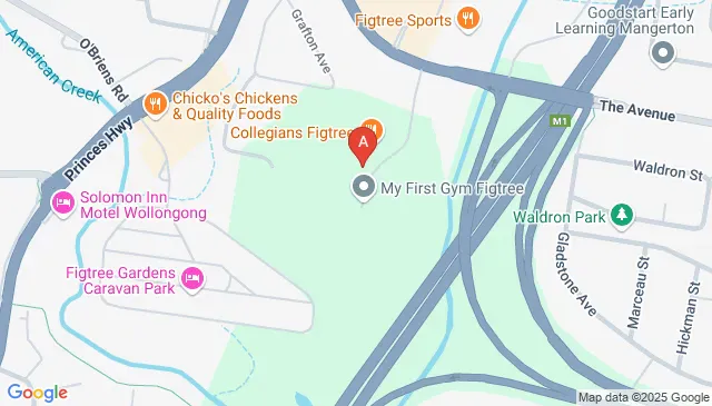 147 The Avenue, Figtree NSW 2525, Australia