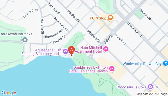 31 Doctors Gully Rd, Larrakeyah NT 0820, Australia