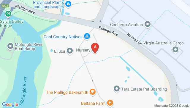 Beltana Road Pialligo ACT parking near Canberra Airport area