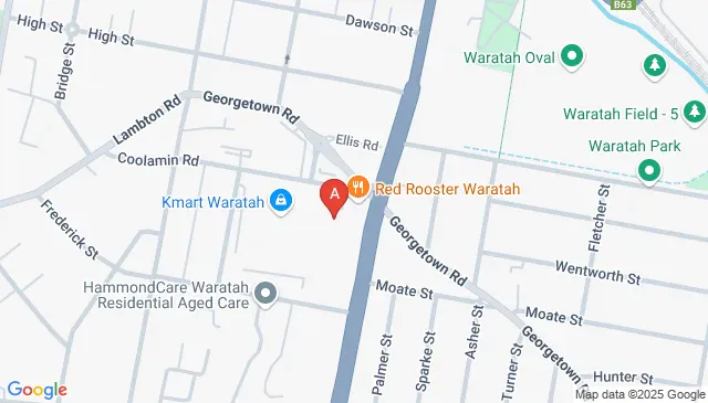 91 Turton Rd, Waratah NSW 2298, Australia