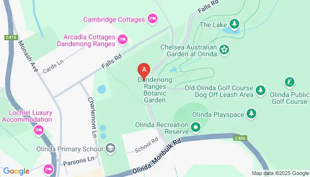 Dandenong Ranges Botanic Garden, Olinda VIC 3788, Australia