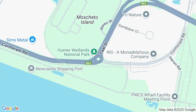 Kooragang NSW 2304, Australia