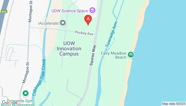 LOT 305 Squires Way, Fairy Meadow NSW 2519, Australia LOT 305 Squires Way, Fairy Meadow NSW 2519, Australia