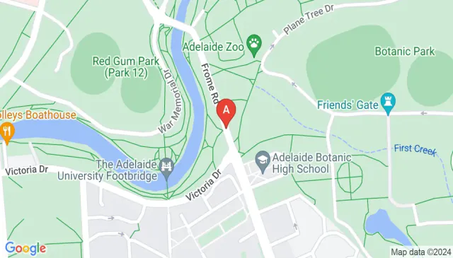 Frome Street Adelaide parking near Rundle Mall unreserved