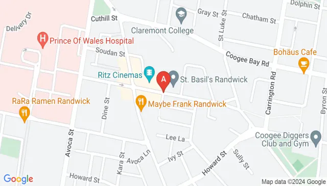 Lockup Garage For Rent Near The Ritz In Randwick Area