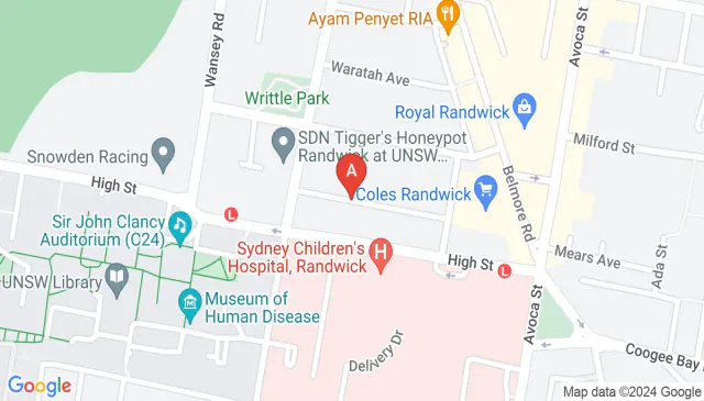 Garage car space for rent on Blenhiem Street Randwick NSW Garage car space for rent on Blenhiem Street Randwick NSW