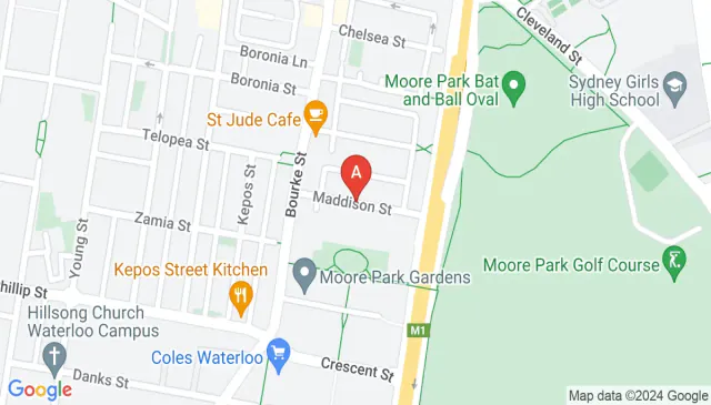 Undercover spacious secure car spot near Moore Park Redfern