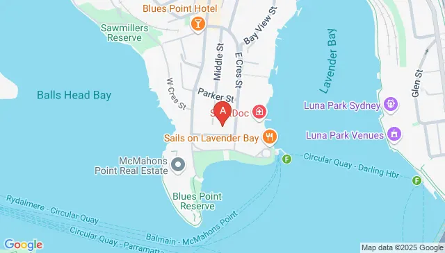 Parking For Rent - 2-4 East Crescent Street, Mcmahons Point