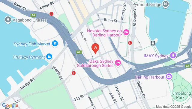 Harris Street Pyrmont apartment parking space available