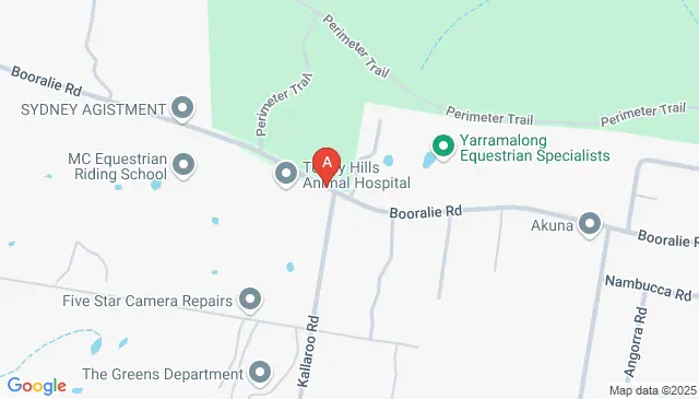 Large undercover storage area for car or boat parking Large undercover storage area for car or boat parking